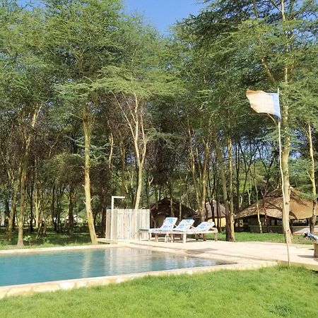 Africa Safari Camping متو ومبو المظهر الخارجي الصورة