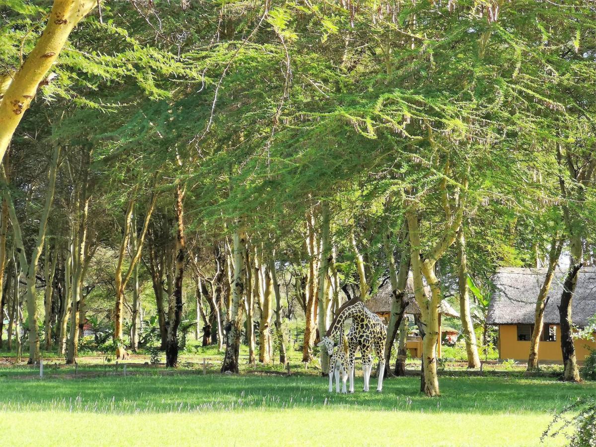 Africa Safari Camping متو ومبو المظهر الخارجي الصورة