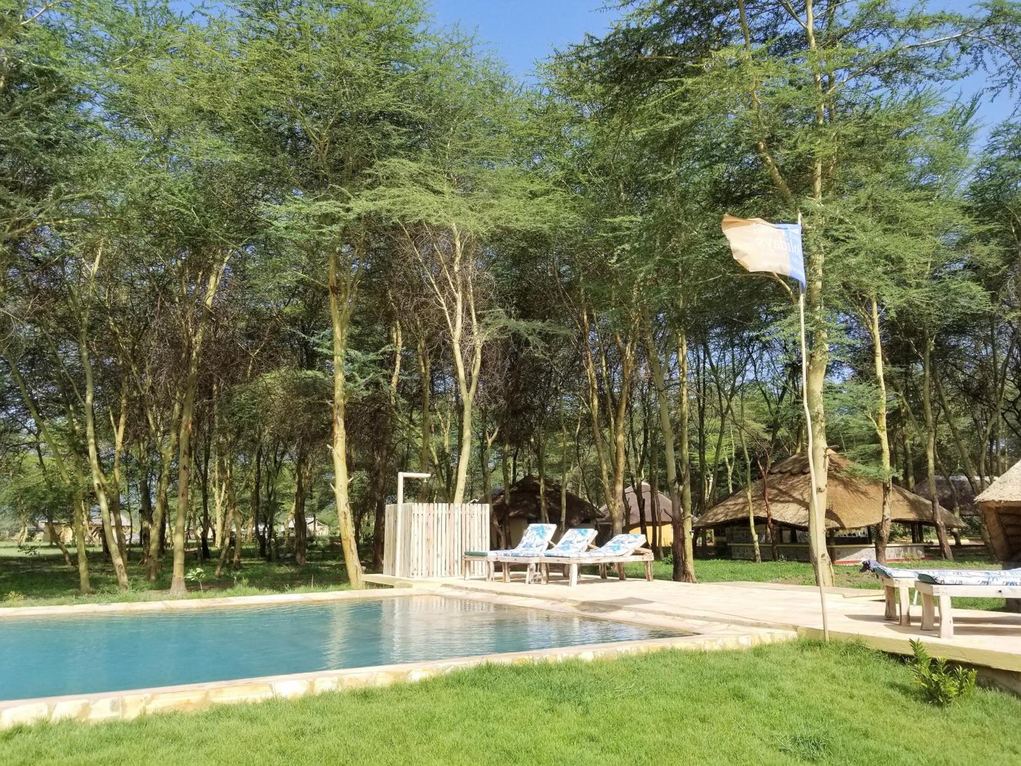 Africa Safari Camping متو ومبو المظهر الخارجي الصورة
